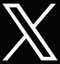 X Icon